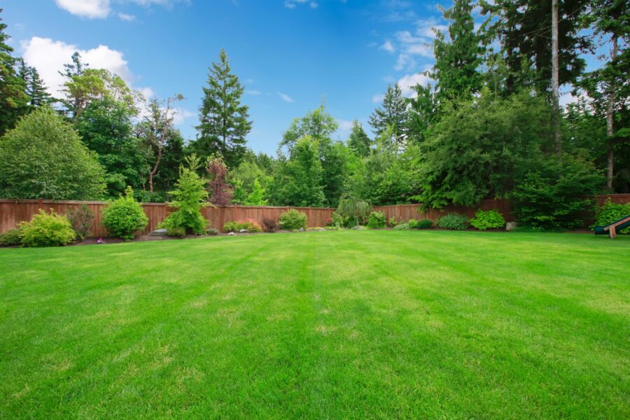 Fencing in Cabot, AR
